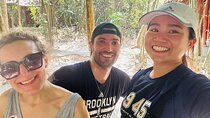 Half-Day Small-Group Cu Chi Tunnels Tour from Ho Chi Minh City
