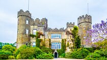 Dublin to Malahide Castle & Gardens Half-Day Trip by Car