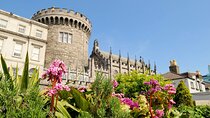 Dublin Private Tour with Skip-the-line Dublin Castle Tickets
