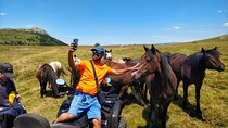 Full-Day Quad and Wild Horses Safari in Livno from Split
