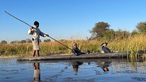 8 Days Victoria Falls, Chobe &Okavango Delta Multi-day Tour