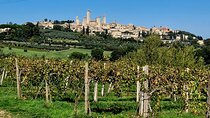 San Gimignano and Siena Private Wine Tasting Tour with Lunch
