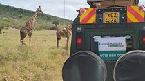 3-Day Masai Mara Wildlife Migration Experience.