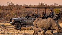 Evening game drive with bush dinner 