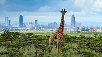Nairobi National Park Game Drive and Beads Center Guided Tour