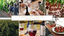 Wine tasting experience in the Apulian countryside