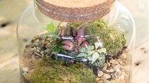 Terrarium Masterclass Experience in London