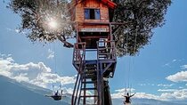 The Tree House - Tours - Swing at the End of the World - Viewpoint