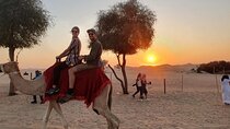 Full Day Desert Safari Experience with BBQ Dinner in Lahbab Dubai