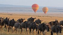5-Day Classic Tarangire, Serengeti & Ngorongoro Camping