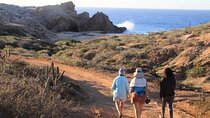 Sunrise Guided Desert Hike in Los Cabos
