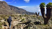 8 Day Kilimanjaro Climbing Via Lemosho Route