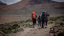 Private Multi-Day Hiking Tour in Lemosho Route, Kilimanjaro