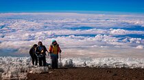 6 Day Private Kilimanjaro Climbing Via Shira Route