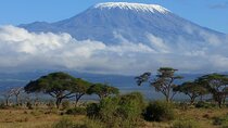 6 Day Private Kilimanjaro Climbing Via Umbwe Route