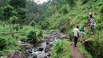 Day Trip To Materuni Waterfalls