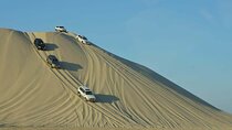 Doha, Qatar: Desert Safari, Dune Bashing (Private/Sharing Safari)