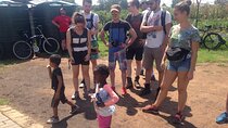 Half Day Guided Tour in Soweto