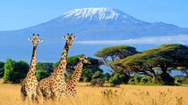 Overnight Safari to Amboseli National Park