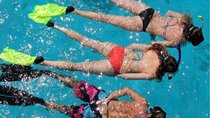 Miami: Snorkeling for Beginners Private Tour 