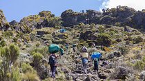 7 Days Mountain Kilimanjaro Hike Marangu Route