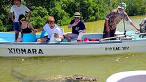 Guided tour at Las Coloradas & Rio Lagartos Biosphere in a boat