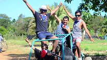 Feel the adrenaline on our Buggy tour