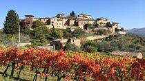 Private Siena, S. Gimignano, Chianti Road and Wine Tasting 