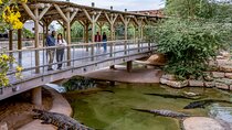 Dubai Crocodile Park Ticket with Transfers