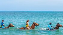 Blue Hole & Horseback Riding Tour with Transfers from Montego Bay