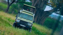 Excursion in Tarangire National Park Day trip