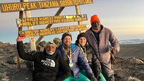 Conquering Kilimanjaro: 7 Days to the Summit via Lemosho Route