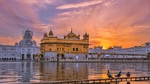 Amritsar's Golden Bliss and Border Spectacle Private Tour
