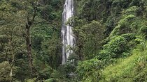 DayTour to Materuni Waterfalls with Coffee & Hotsprings Excursion