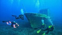 Amazing Diving at the Shipwreck