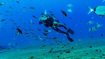 Scuba Diving Experience from Plakias