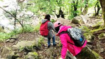 Mt. Vitosha and Boyana Waterfall Hiking Tour from Sofia