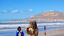 Private Transfer From Marrakech City Or Airport To Agadir