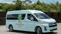Mr&Mrs Punta Cana Private Roundtrip Transfer Airport-Hotel