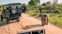 Sri Lanka Private Holiday Round Tour with Driver & Vehicle