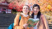 Private Sightseeing Guided Tour in Kyoto