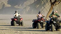 Quad with Camel Ride & Bedouin village , Dinner From Marsa Alam