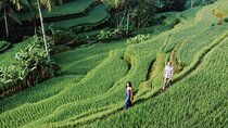 Private Tour Top Sights of Bali in One Day