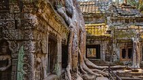 Small Group Explore Angkor Wat Sunrise Tour from Siem Reap