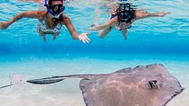 3-stop Adventure: Stingray City and snorkeling at Cayman Reefs