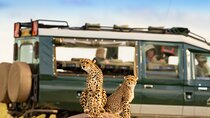 3-Day fly in Private Safari in Serengeti and Ngorongoro
