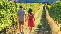 San Francisco: Napa & Sonoma Wine Tour & 24hr Hop-on Hop-off Tour