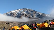 Machame Route Kilimanjaro Trekking 7 Days 