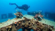 Alanya Scuba Diving Tour