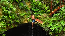 Live the adventure in 3 cenotes in the jungle! 